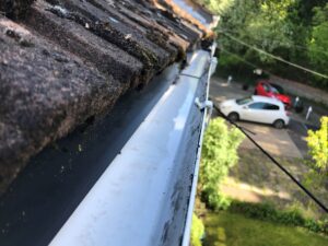 gutter cleaning